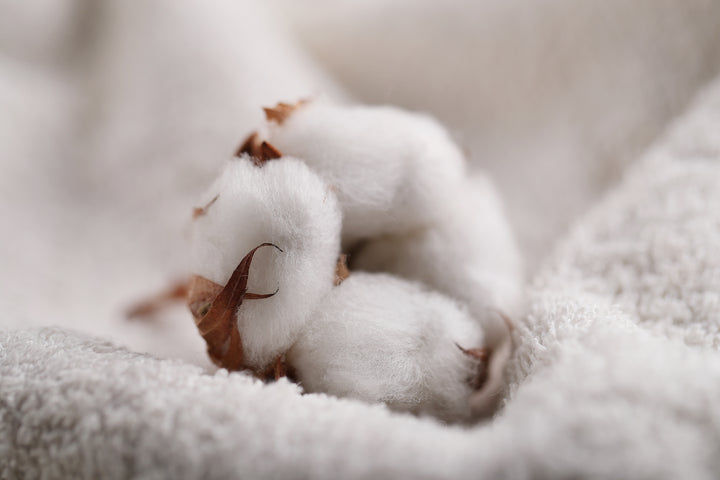 Natural Fibres